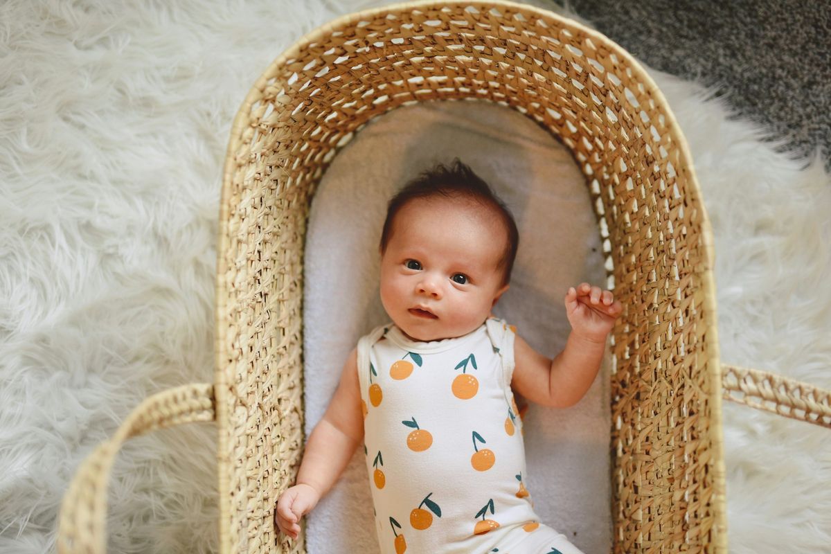 Newborn baby lying in a wicker moses basket