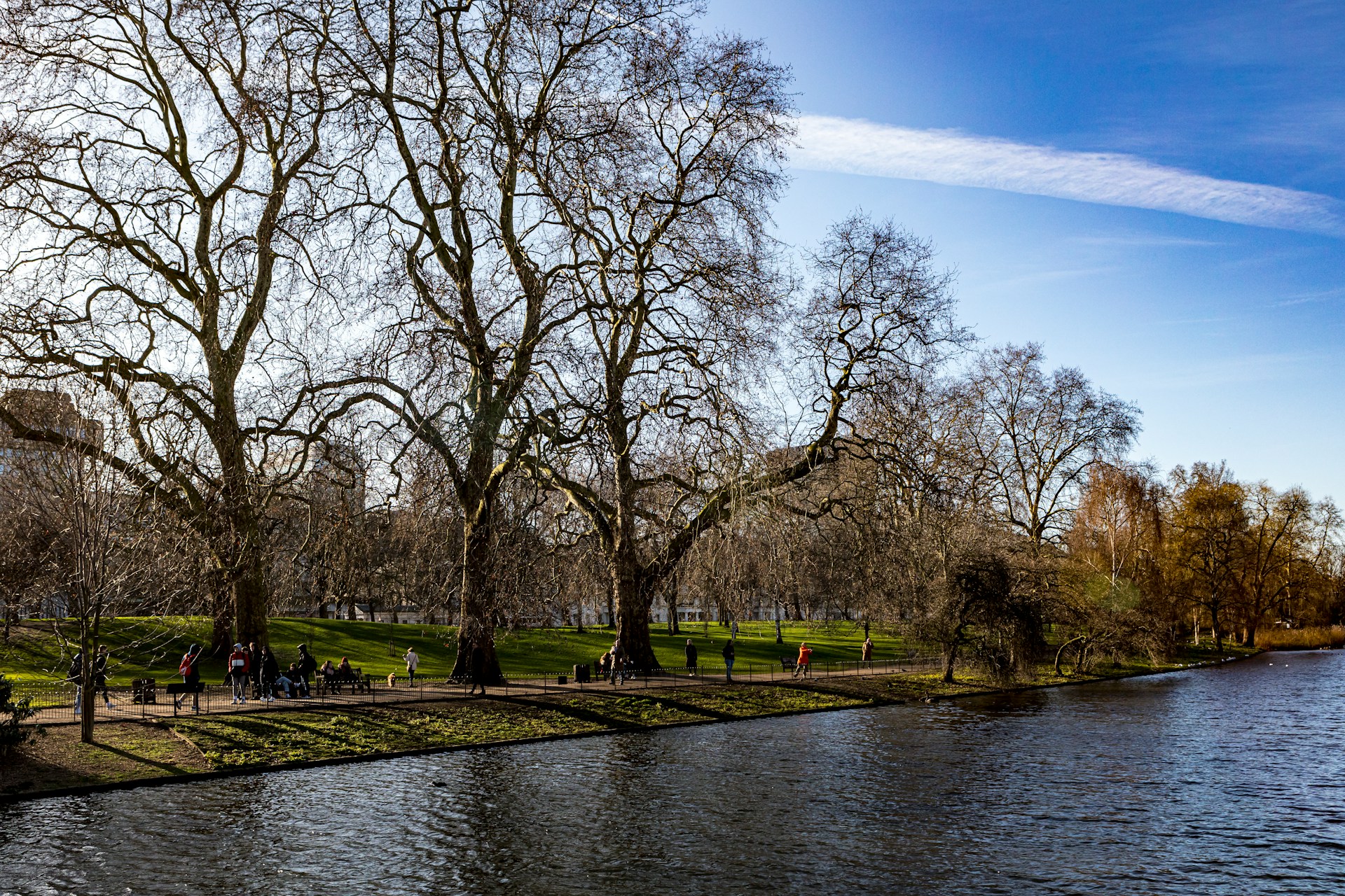 St James's Park lake with Buckingham Palace in background